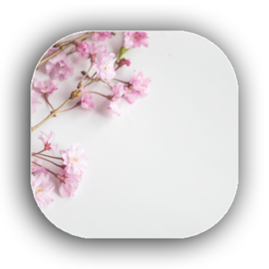 flores de cerezo
